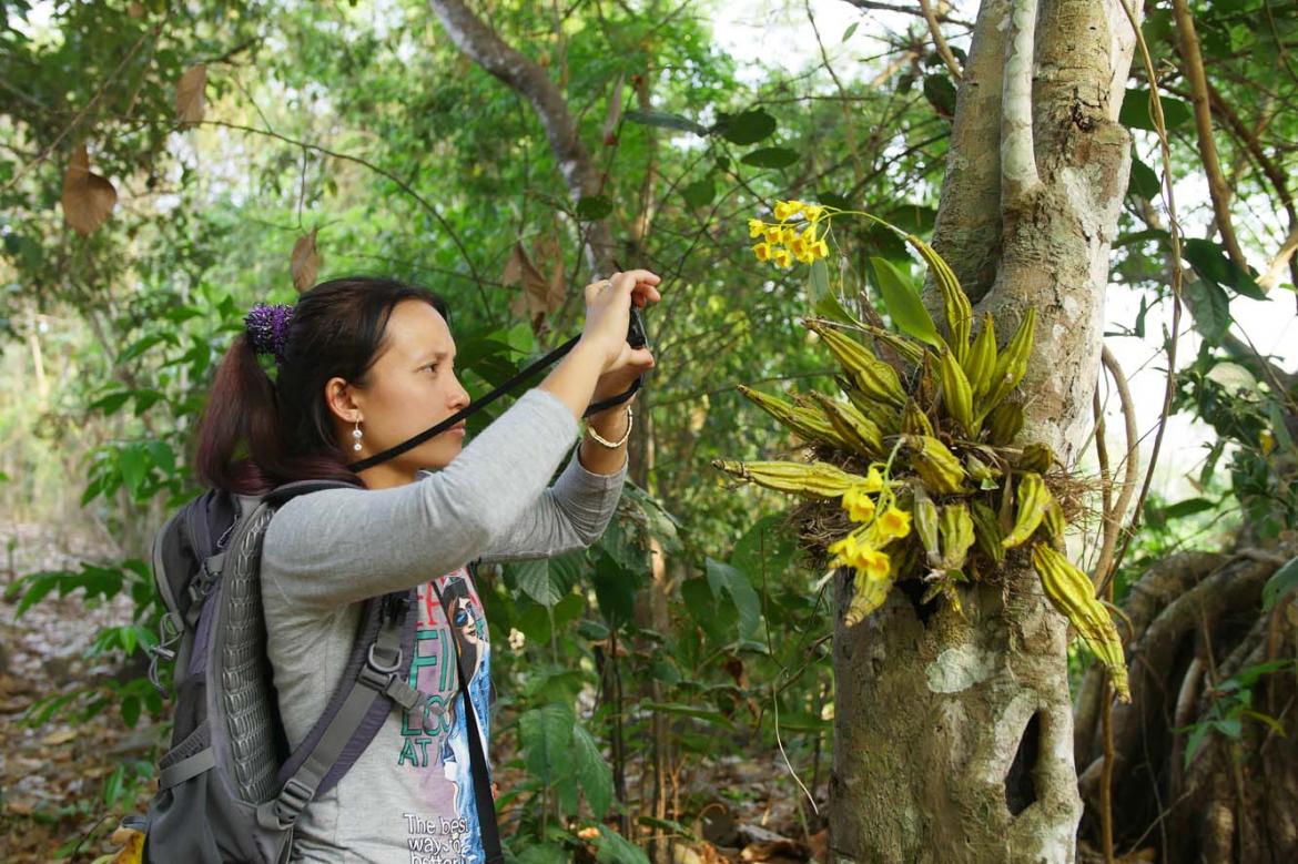 orchid-documentation-empowers-women-in-kayin-state-1582116058