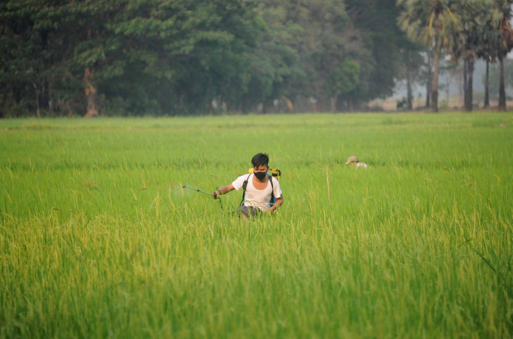 Many farmers are reliant on Myanmar's growing microfinance sector. (Soe Than Win / AFP)