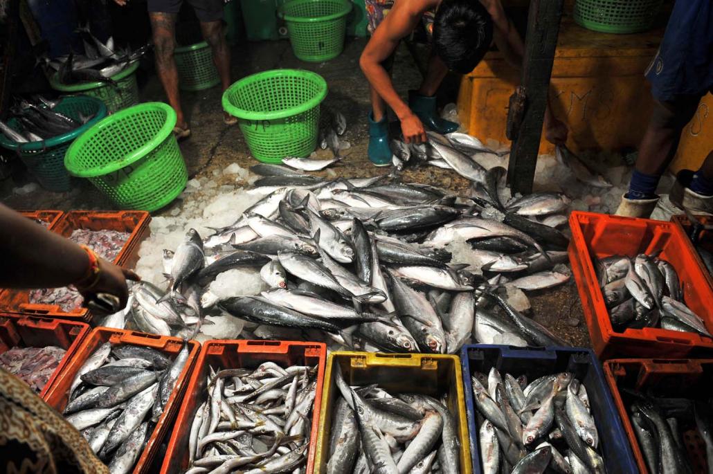 Workers sort fish at San Pya wholesale fish market in Yangon. (AFP)