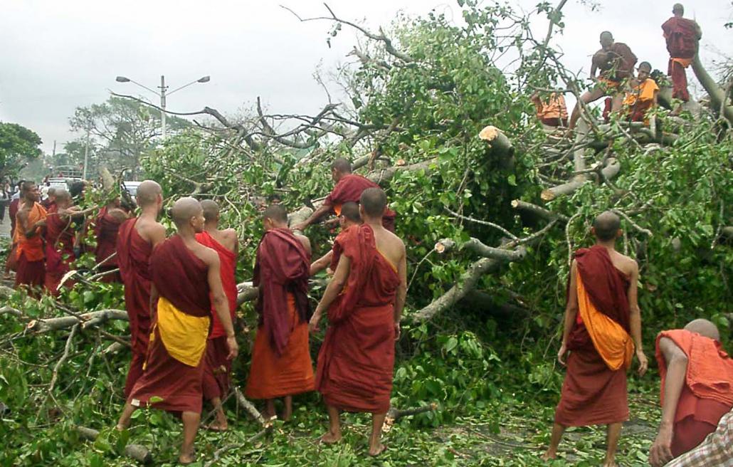 Buddhist monks attempt to move an uprooted tree in downtown Yangon on May 5, 2008. (AFP)