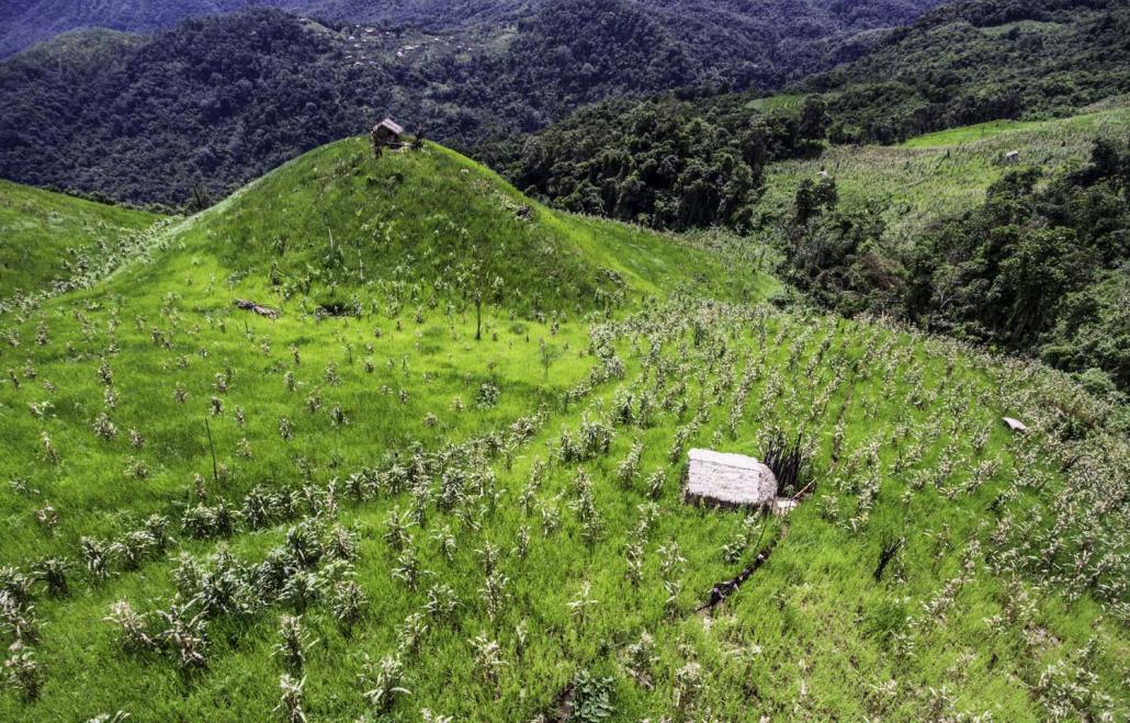 In Naga culture, land is categorised according to use, such as orchards or rice terraces, and managed under the rotational farming system known as jhum. (Resource Rights for the Indigenous Peoples)