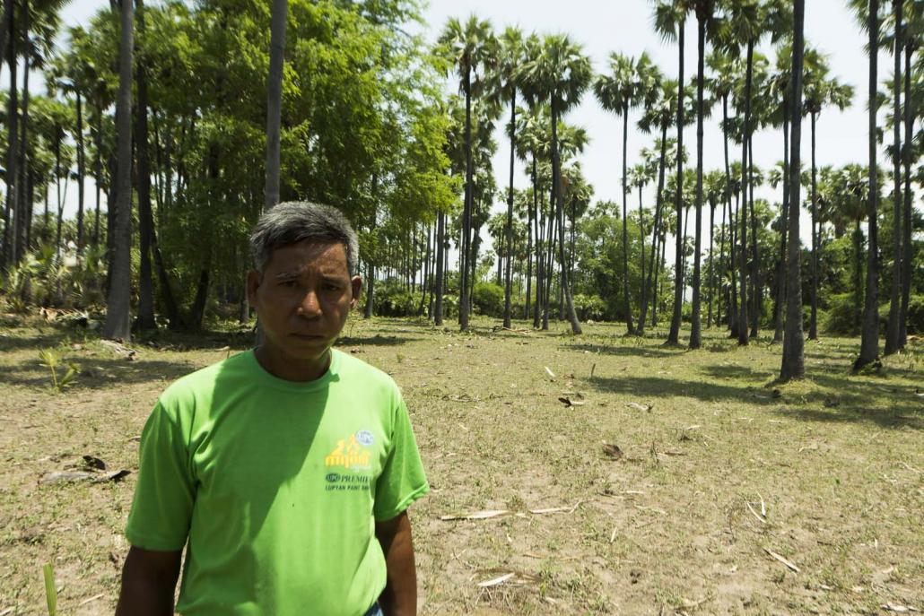 U Khin Maung Win in front of his toddy palm trees in Patheingyi Township. (Teza Hlaing | Frontier)