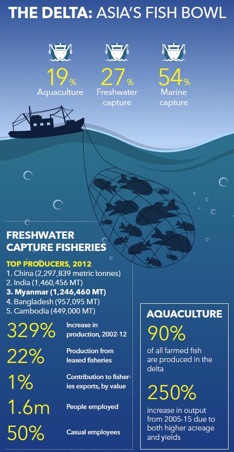 An overview of the fisheries sector in Myanmar's Ayeyarwady Delta. (Frontier)