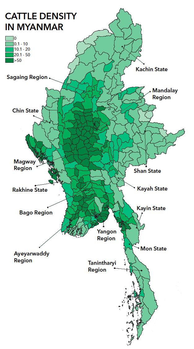 A map of cattle farming in Myanmar. (Frontier)