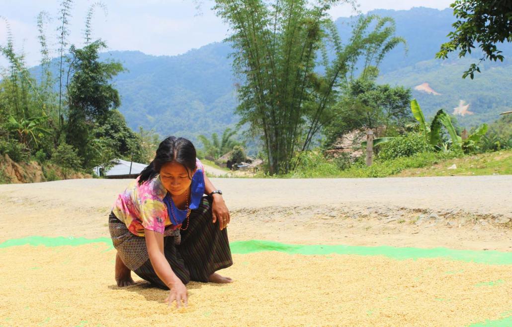 A villager dries her crop outside her home in the Naga SAZ. (Oliver Slow | Frontier)