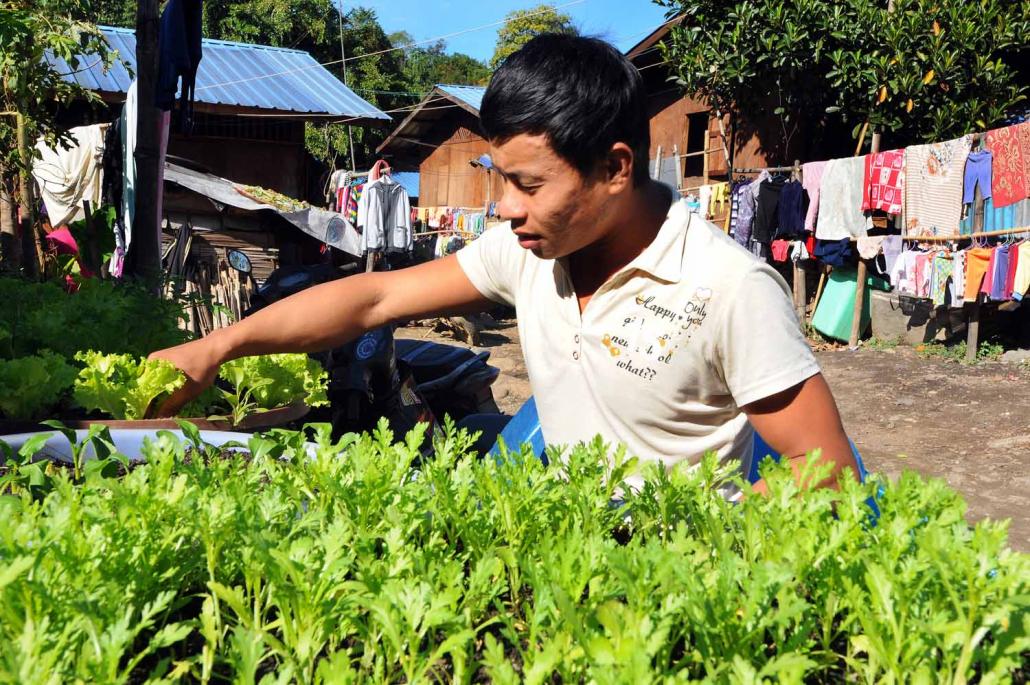 Kachin IDP Aung La tends a small garden outside his temporary home at Woi Chyai IDP camp that he uses to supplement his family's income. (Steve Tickner / Frontier)