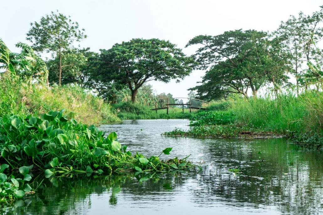 Exploring the water fields. (Dominic Horner | Frontier)