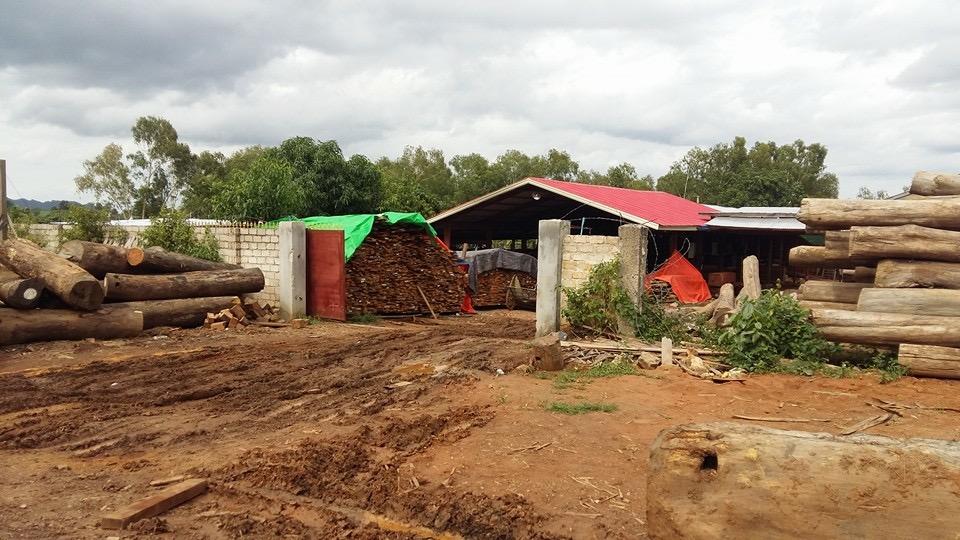 A timber yard in the Loikaw Industrial Zone (Sai Lin Lin Oo | Frontier)