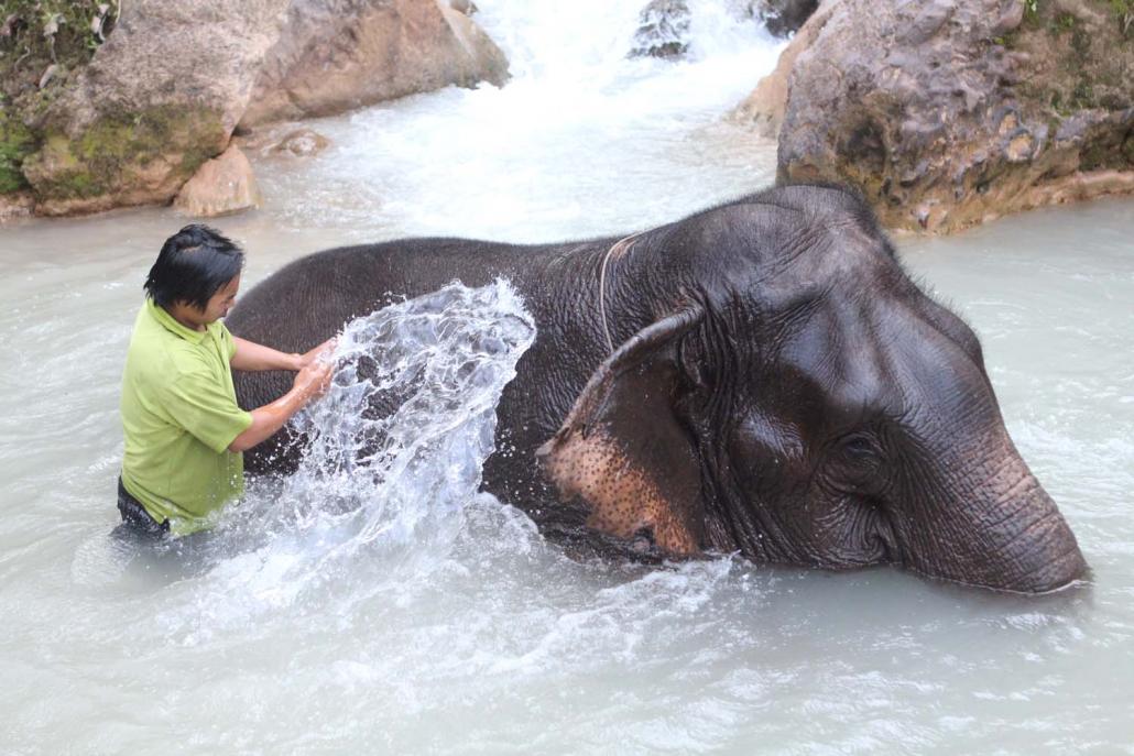 There are no rides or performances at Green Hill Valley, but visitors can feed and bathe the elephants at certain times. (Thomas Kean | Frontier)