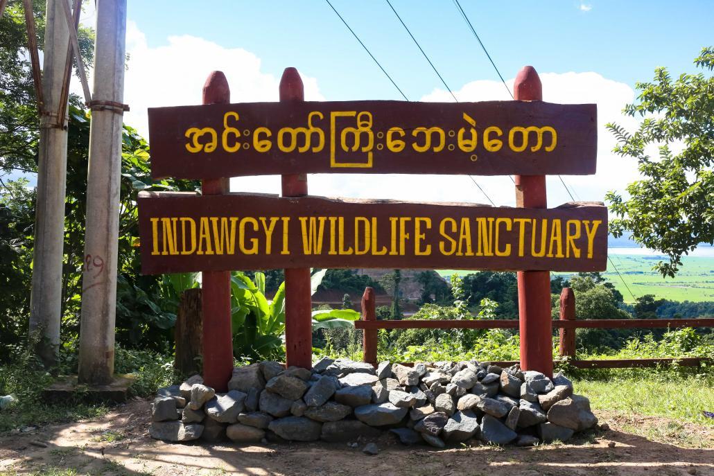 ဓာတ်ပုံ- ဗစ်တိုးရီးယား မီလ်ကို
