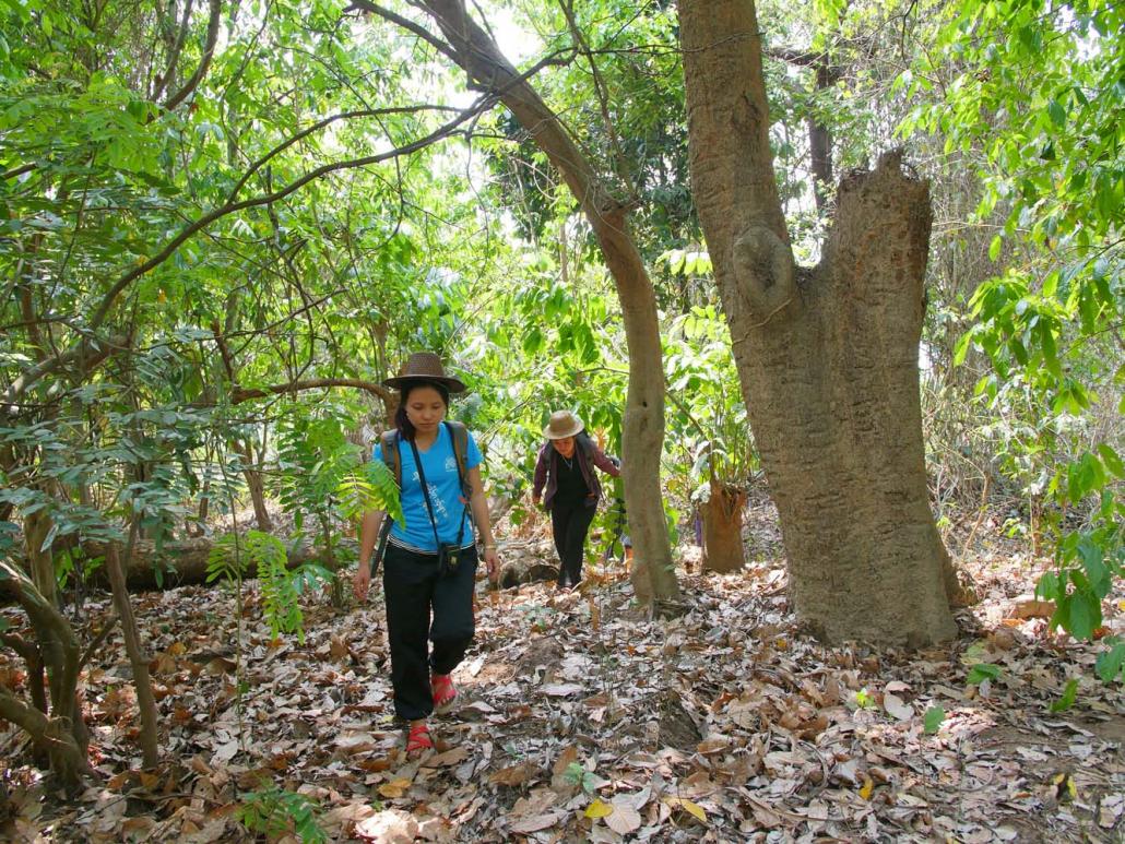 Conducted over five years, the study is part of the Salween Peace Park initiative. (Supplied)