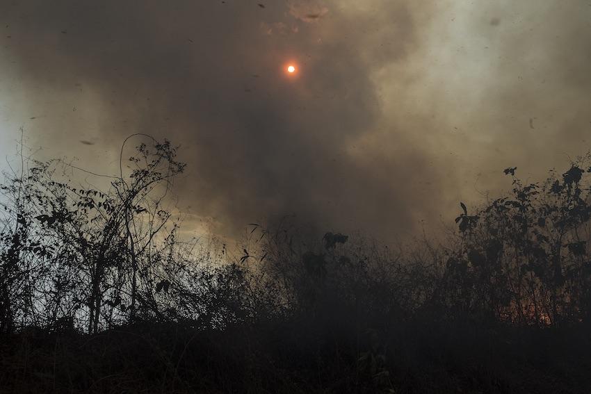 Somewhere along the Dawei road, smoke rises from a man-made wild re in the forest. (Minzayar Oo / WWF)