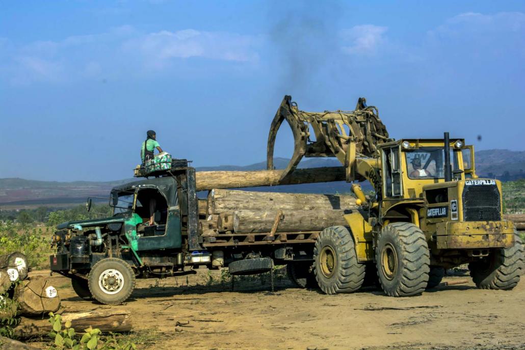 Timber logs are loaded on to a truck near Loikaw in Kayah State in mid-2016. (Maro Verli | Frontier)