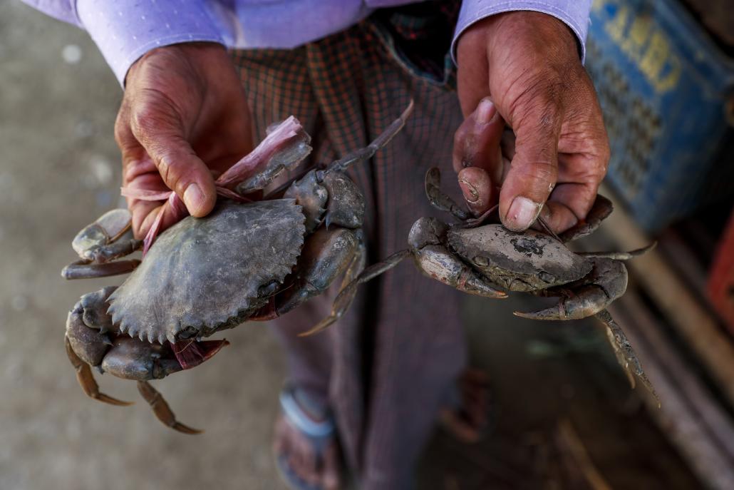 Wild crabs are the main business in Kar Te village, but they are often caught when they are still small, which creates challenges for the industry's sustainability.