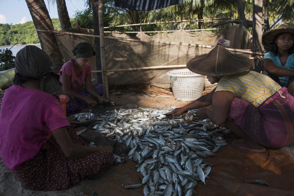 Women sort through freshly caught fish at Mee Laung Chaing village, the site of a proposed billion-dollar gas-fuelled power plant. (Nyein Su Wai Kyaw Soe | Frontier)