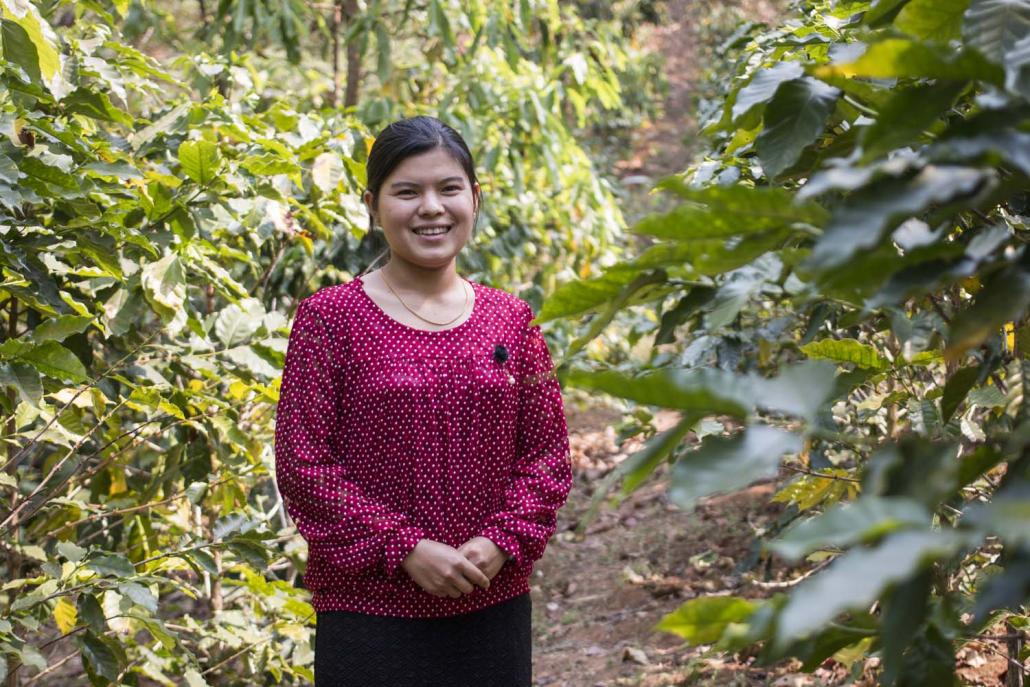 Nang Su Su Kyi from Long Hay village near Hopong switched from growing opium to coffee with support from the UNODC (Nyein Su Wai Kyaw Soe | Frontier)