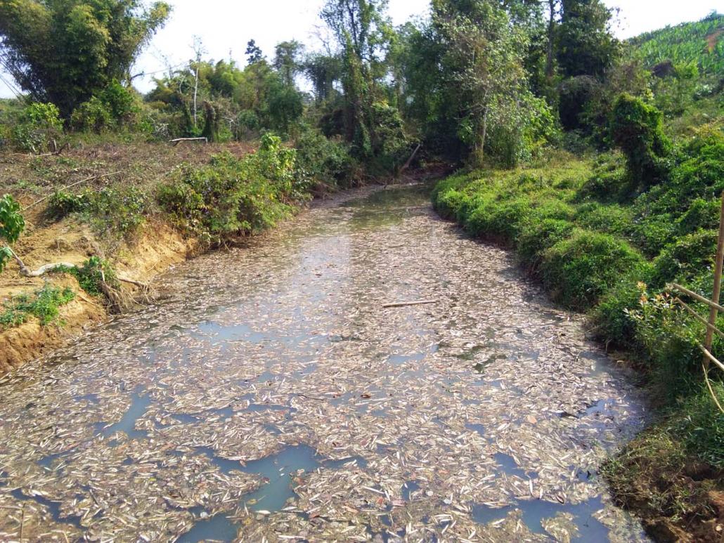 Nan Myit Ka stream near Aung Myay Two village. (Emily Fishbein | Frontier)