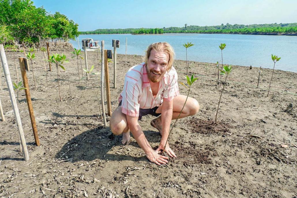 Planting a tree during a mangroves tour. (Dominic Horner | Frontier)