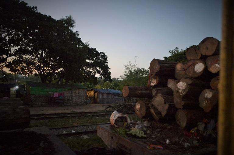 Logs in transit by train on the Mandalay to Myitkyina line. (Poppy McPherson | Mongabay)