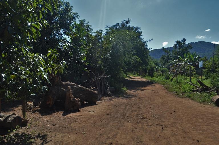 Logs piled up outside villagers’ houses in Mandalay Region. (Poppy McPherson | Mongabay)