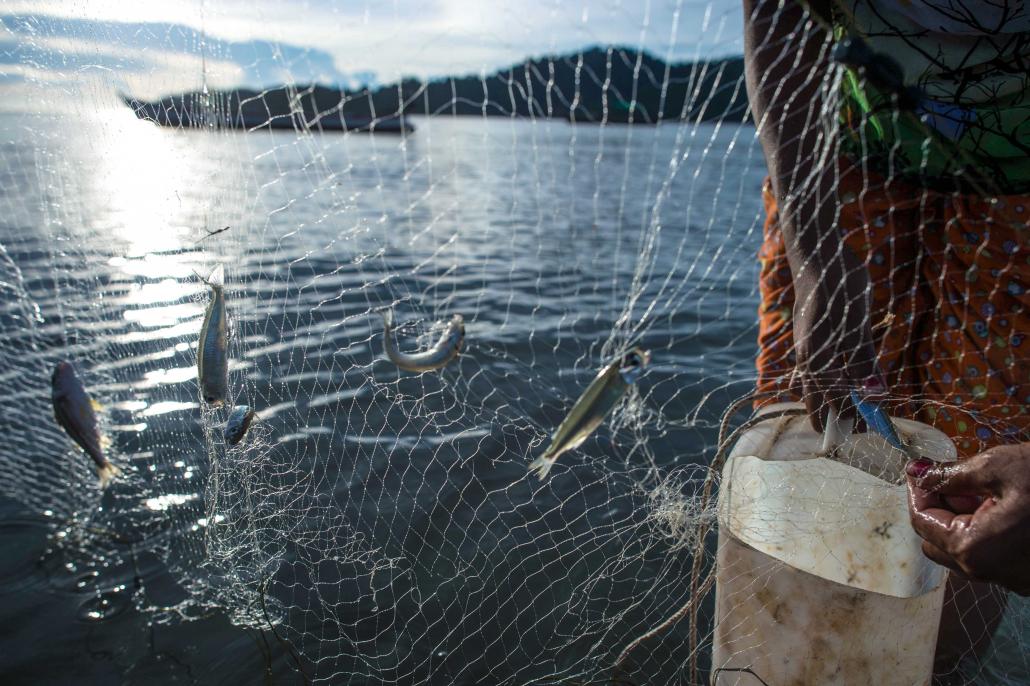 A Moken woman catches fish in shallow waters in Makyone Galet village in the Myeik Archipelago, off the coast of southern Myanmar. (AFP)