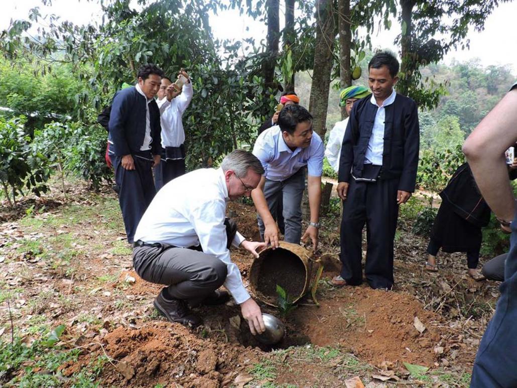 US ambassador Mr Scot Marciel plants a coffee bush in Hopong Township in May 2016. (U.S. Embassy Rangoon Facebook page)