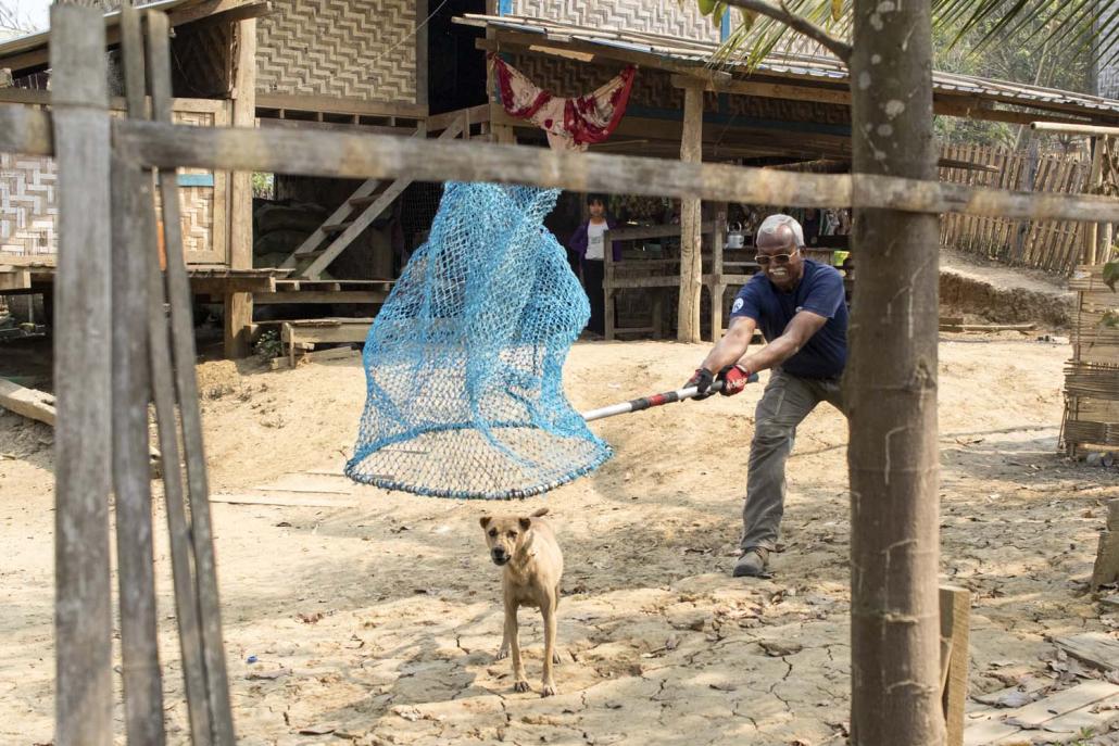 Both domestic and stray dogs need to be vaccinated (supplied)