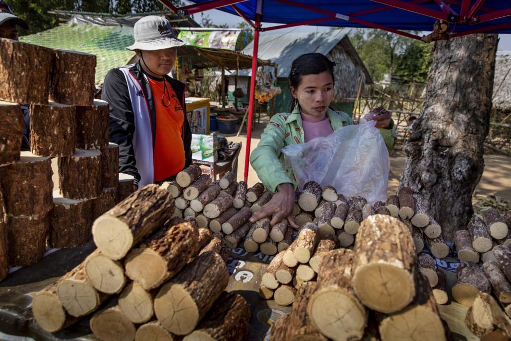 Street vendors sell thanaka logs in Ayadaw Township. (Hkun Lat I Frontier)