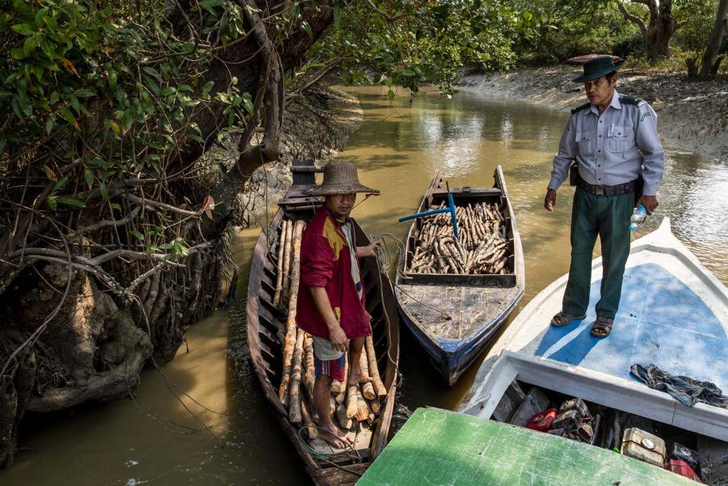 A forestry officer stands beside boats laden with illegally cut timber that were arrested during a monthly patrol in the wildlife sanctuary in late February. (Hkun Lat | Frontier)