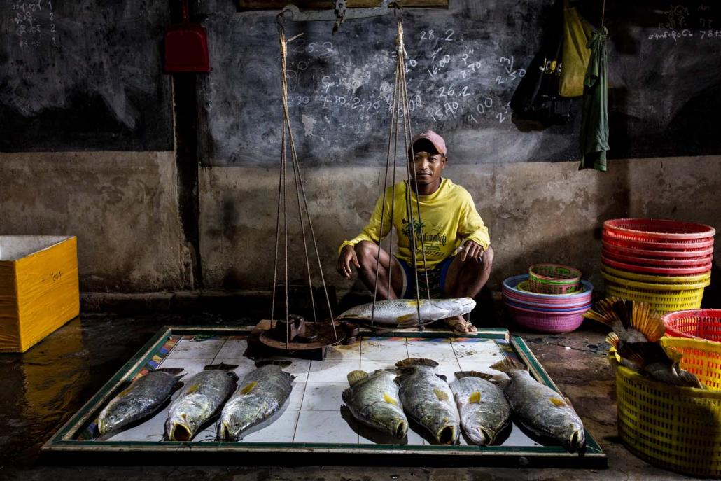 A vendor at Bogale Township's Ka Don Ka Ni village displays fish caught illegally in the nearby Meinmahla Kyun Wildlife Sanctuary. (Hkun Lat | Frontier)