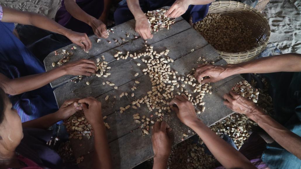 Across Magway Region, farmers are preparing to plant their fields when the first monsoon rains arrive – but many are wondering where they'll get the money to cover the cost of labour and inputs. (Ei Lay | Frontier)