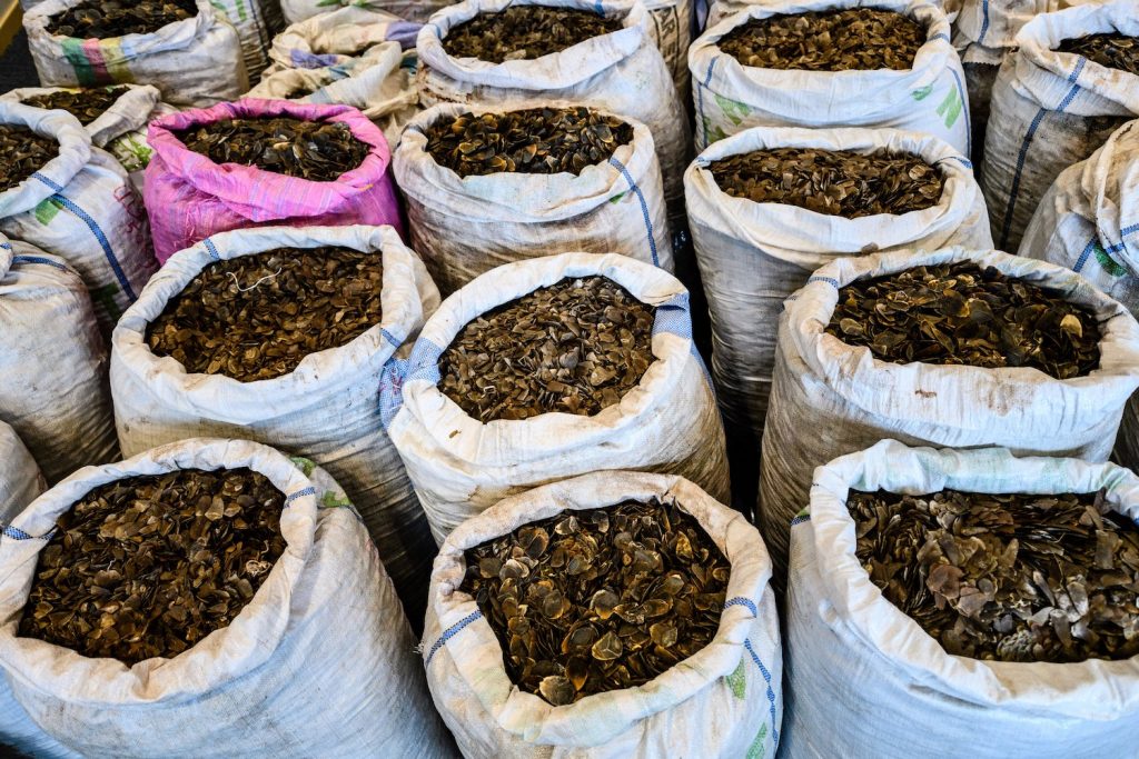 Seized endangered pangolin scales are displayed during a press conference at the Kwai Chung Customhouse Cargo Examination Compound in Hong Kong. (AFP)