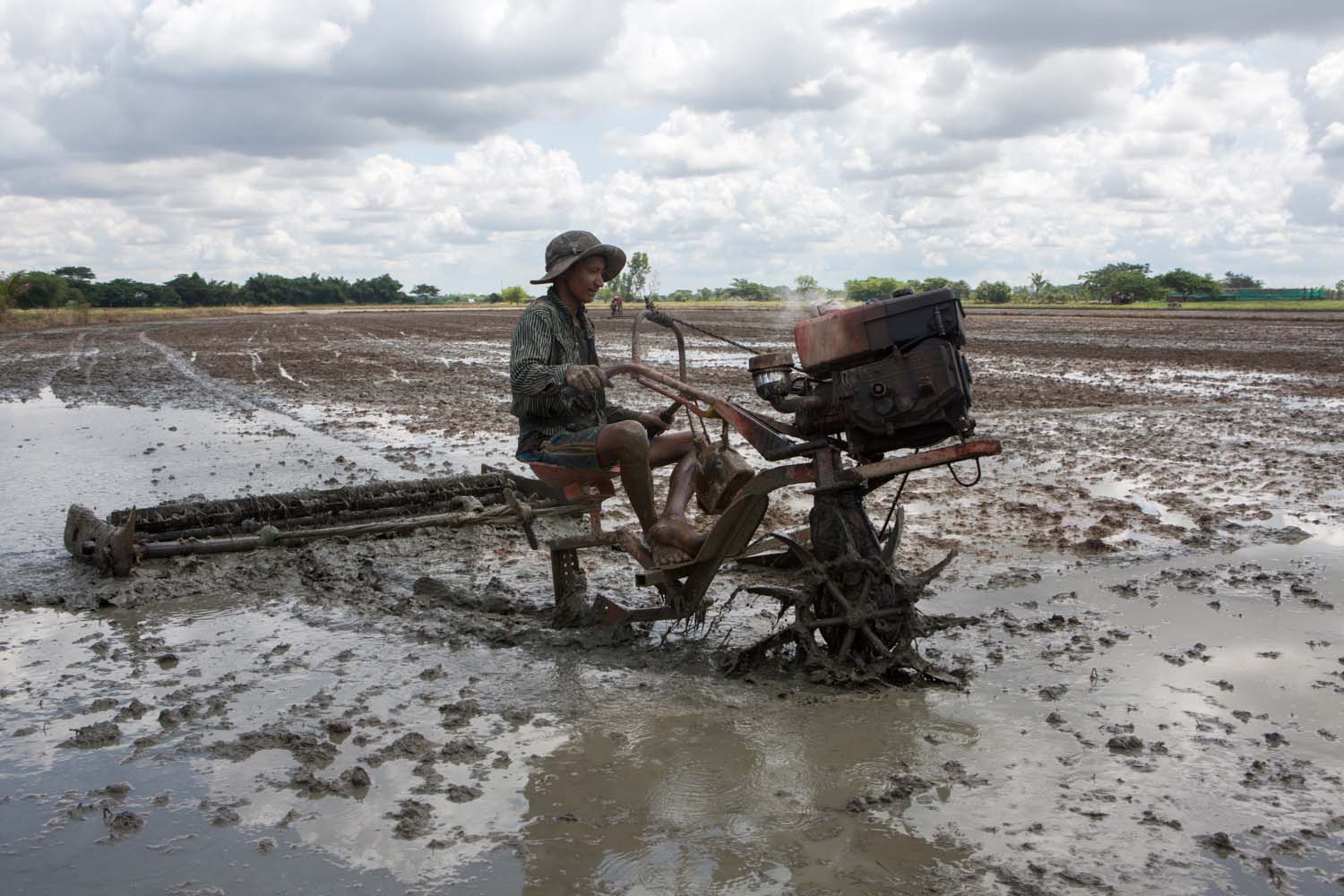 A farmer ploughs a paddy field in Yangon's Twante Township on May 29. (Thuya Zaw | Frontier)