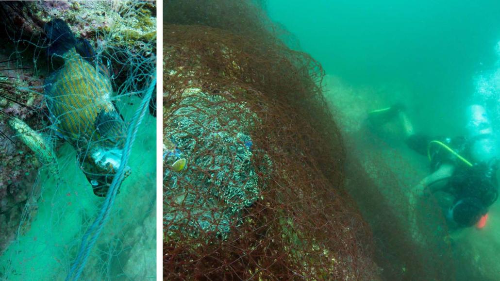 Marine life in the Myeik Archipelago smothered with discarded fishing nets. (Thanda Ko Gyi | Myanmar Ocean Project)