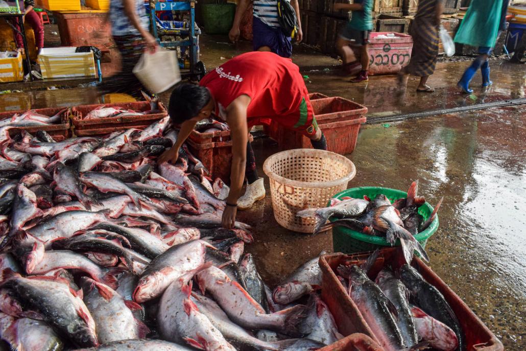 Workers at the Shwe Padauk Market in Yangon. (Kyaw Lin Htoon | Frontier)