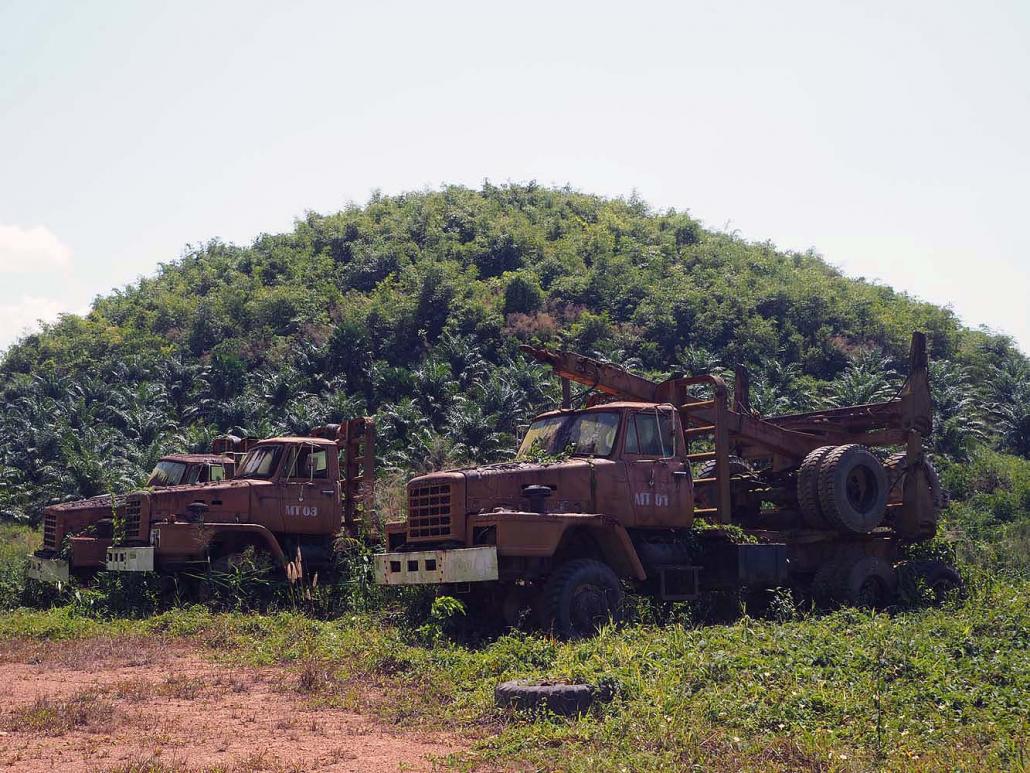 Rusting trucks lie dormant among sparsely planted oil palms in the 133,600-acre concession held by Myanmar Auto Corporation in Bokpyin Township of Tanintharyi Region. (Ben Dunant | Frontier)