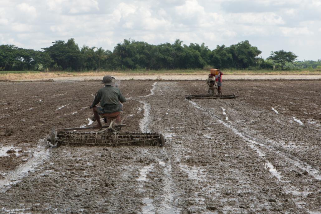 Farmers prepare fields in Twante Township, in rural Yangon Region, in early June. (Thuya Zaw | Frontier)