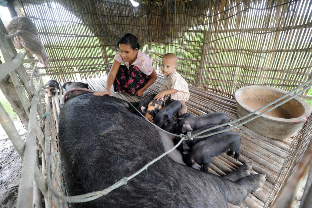 Prior to the government enacting a law permitting microfinance businesses in 2011, most lending schemes were run by non-profits to give households in rural areas access to credit. (AFP)