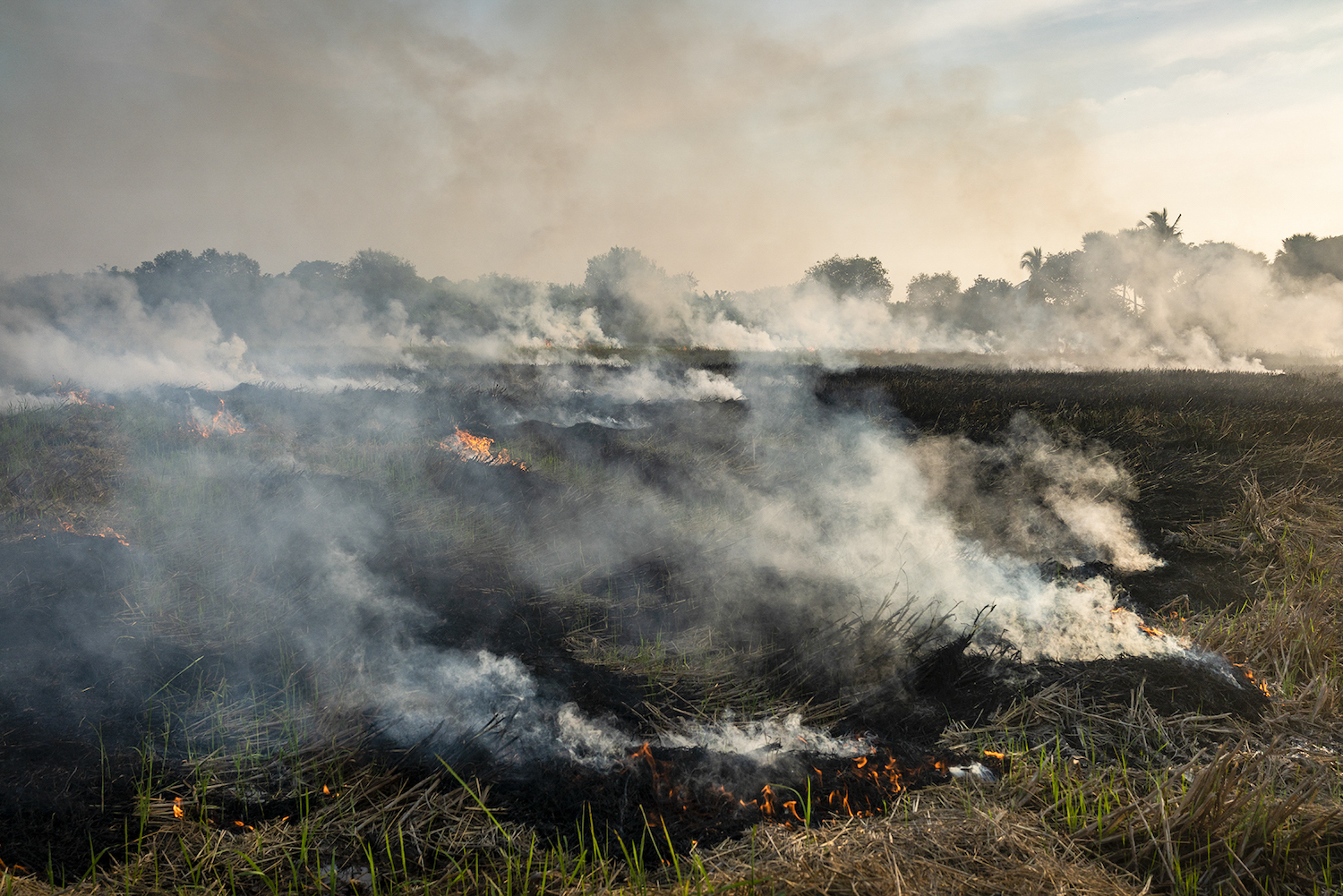 Farmers burn rice straw to clear a field beside the road between Dala and Twante in Yangon Region on December 14. Biomass burning, including crop residues, contribute significantly to Yangon's air pollution. (Hkun Lat | Frontier)