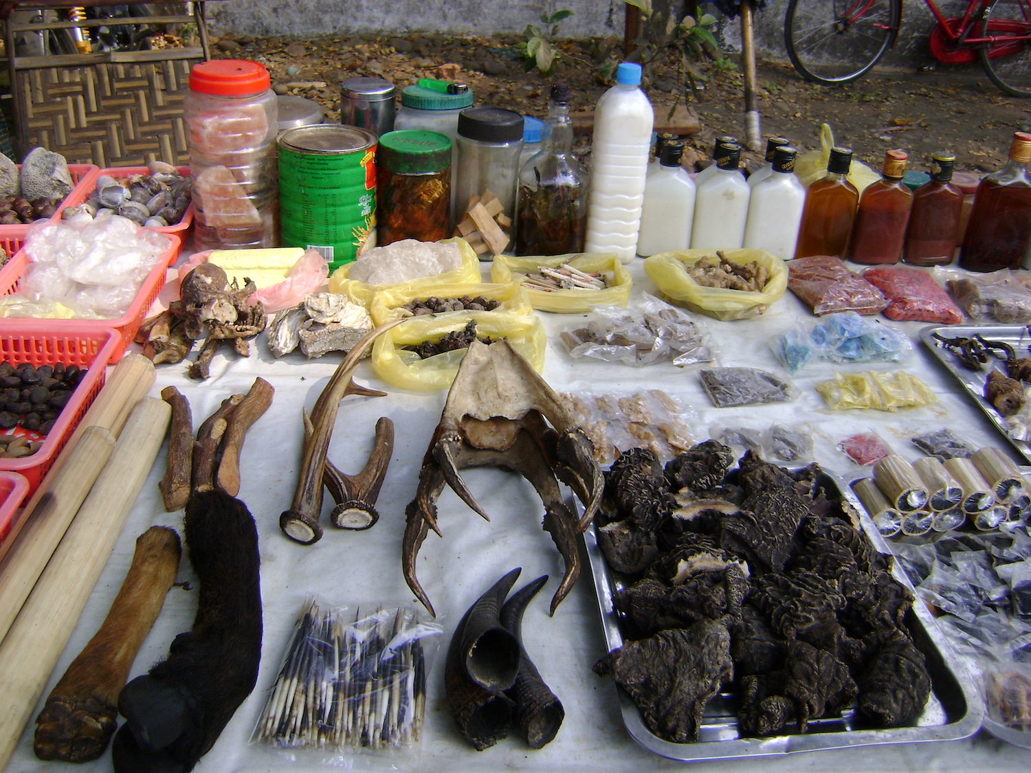 Elephant skins, porcupine quills, red muntjac skulls, red serow horns and other wildlife products on display at a market in Myitkyina in 2009. (Sapai Min)