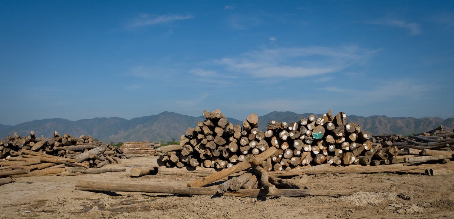 A pile of teakwood pictured in Mandalay Region in 2010. (AFP)