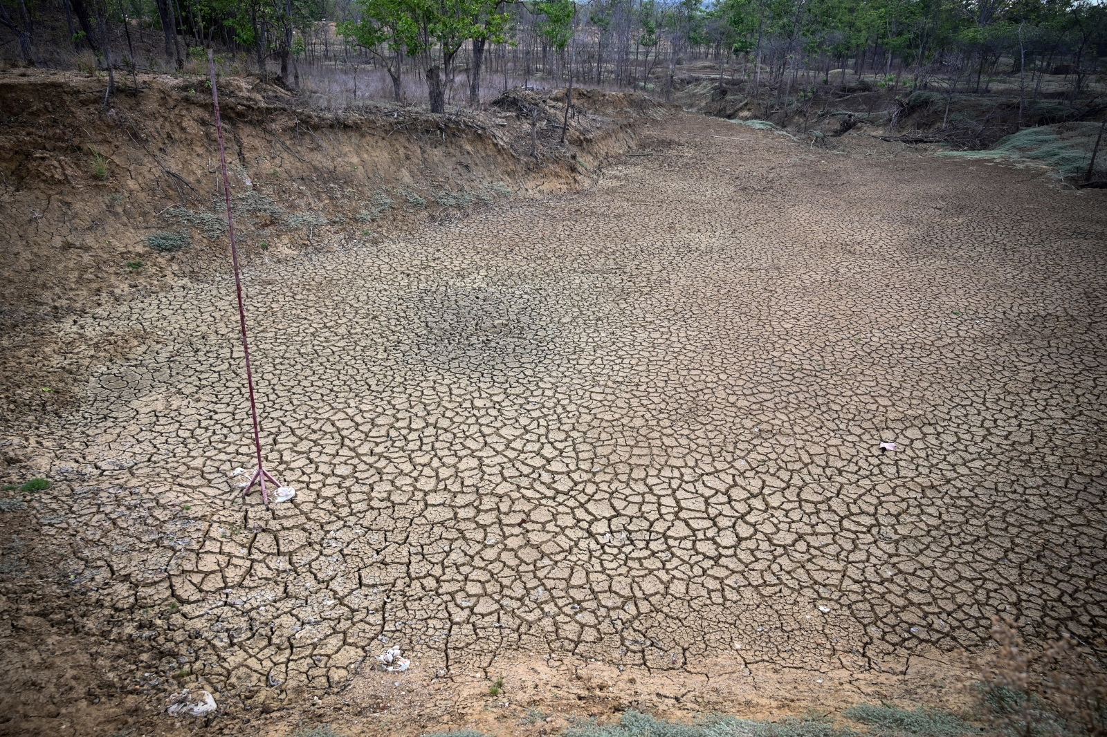 Dried bed of a lake in the Shwe Settaw natural reserve in Magway Region in May 2019. (AFP)