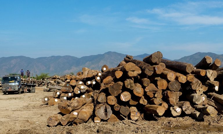 A pile of logged timber in Thazi Township, Mandalay Region in 2010 (AFP)
