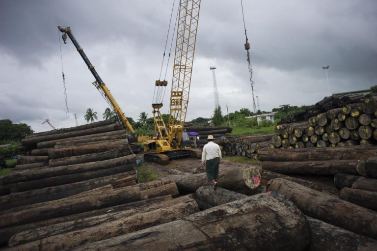 20000-tonnes-of-logs-seized-in-five-years-says-kachin-minister-1582227051