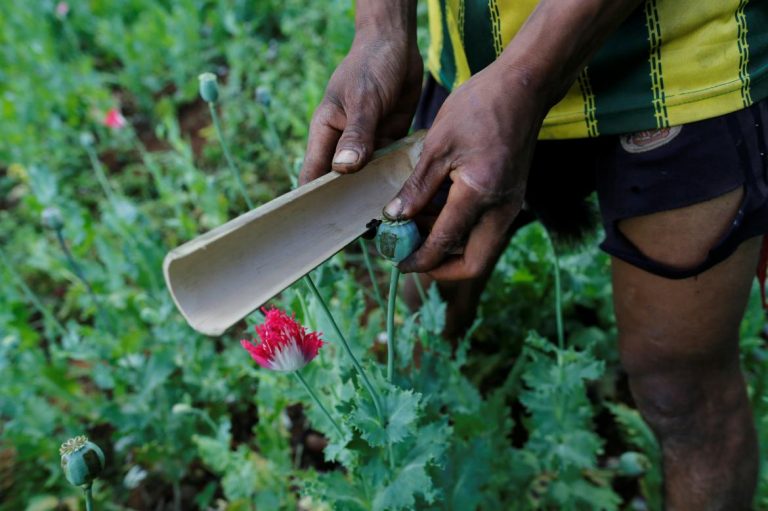 2017-12-06t132608z_929298372_rc1acdde20a0_rtrmadp_3_myanmar-drugs_0.jpg