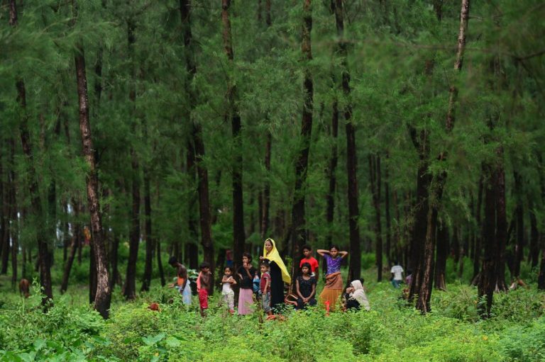 3-reported-killed-by-suspected-mine-in-maungdaw-while-fleeing-to-bangladesh-1582214530