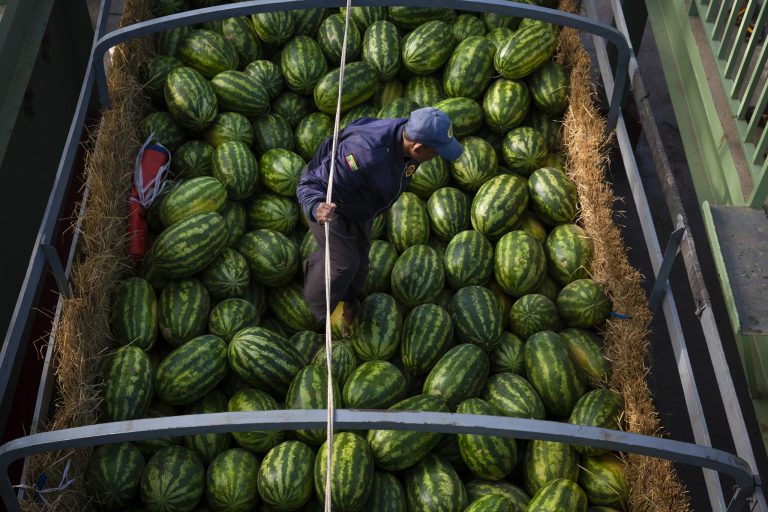 A watermelon shipment at 105-Mile Zone in Muse Township in November 2019 (Frontier)