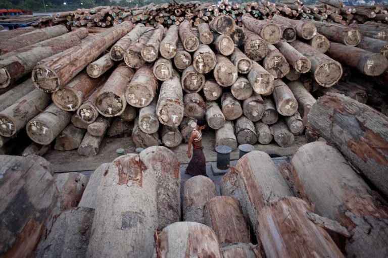 A worker walks past logs on barges along the river near Yangon on April 7, 2014. Much of the teak felled in the Bago Yoma makes its way to Myanmar's commercial capital, where it is then often exported overseas. (AFP)