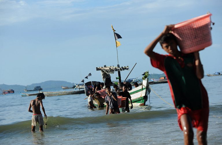 Fishermen bringing their catch ashore from their boat at Ngapali beach, in Rakhine State's Thandwe Township, on October 4, 2013. (AFP)