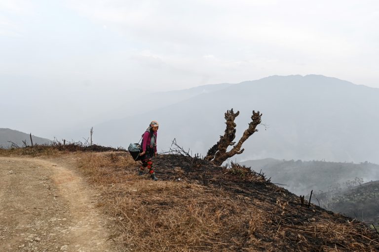 A woman walks to her farm on February 7 this year near Yan Gone village, Lahe Township in Sagaing Region's Naga Self-Administered Zone. (AFP)